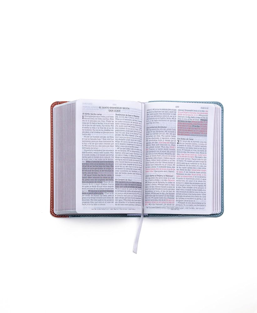 Biblia de Promesas Reina Valera 1960 / Compacta / Letra Grande / Piel Especial / Vintage // Spanish Promise Bible RVR60 / Compact / Large Print / Leathersoft / Vintage (Spanish Edition) cover image