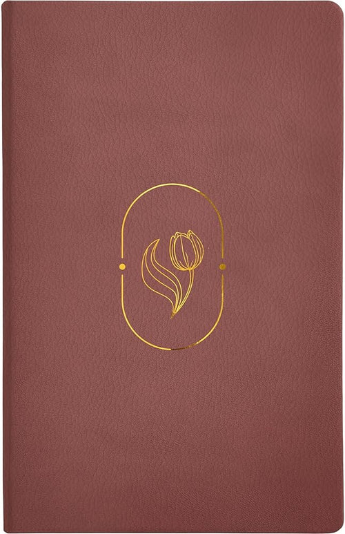 Biblia de Promesas RVR-1960, Virtuosa, Letra gigante, Piel especial, Rosa (Spanish Edition) cover image