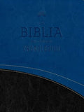 Biblia en orden cronológico RVR60 - Edición Tiempo (The Daily Bible) (Spanish Edition) cover image