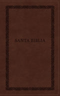 RVR60, Santa Biblia, Tierra Santa, Letra grande, Leathersoft, Café, con Cierre, Palabras de Jesús en Rojo, Comfort Print (Spanish Edition) cover image