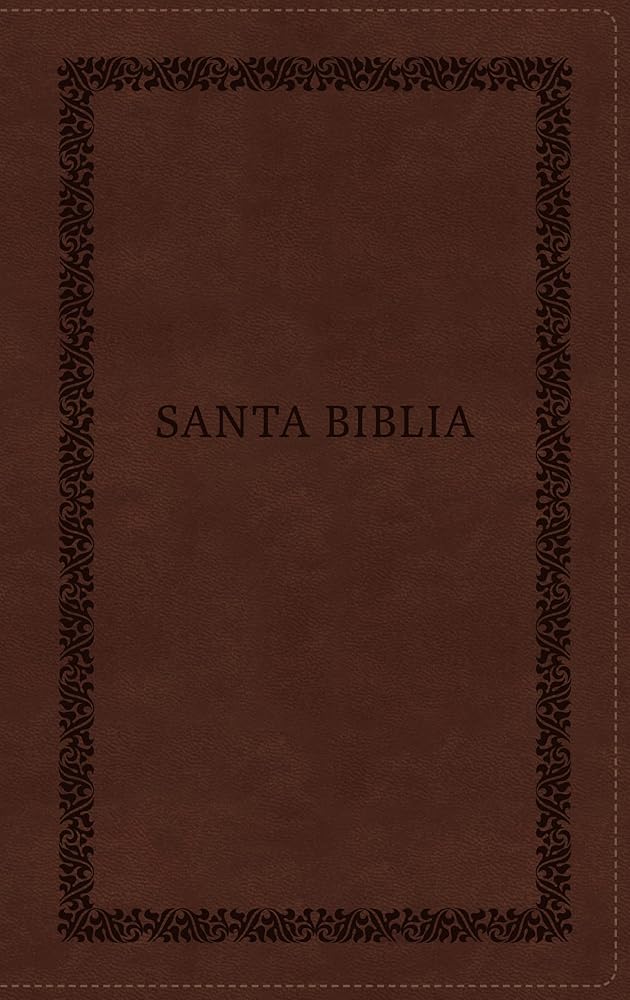 RVR60, Santa Biblia, Tierra Santa, Letra grande, Leathersoft, Café, con Cierre, Palabras de Jesús en Rojo, Comfort Print (Spanish Edition) cover image