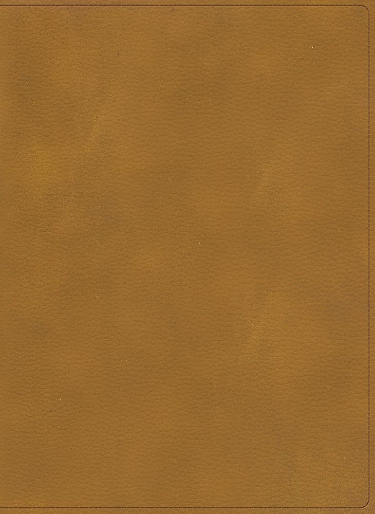 RVR 1960 Biblia ilustrada de la Tierra Santa, caf√© s√≠mil piel con √≠ndice / RVR 1960 Holy land Study Bible, brown LeatherTouch Indexed (Spanish Edition) cover image