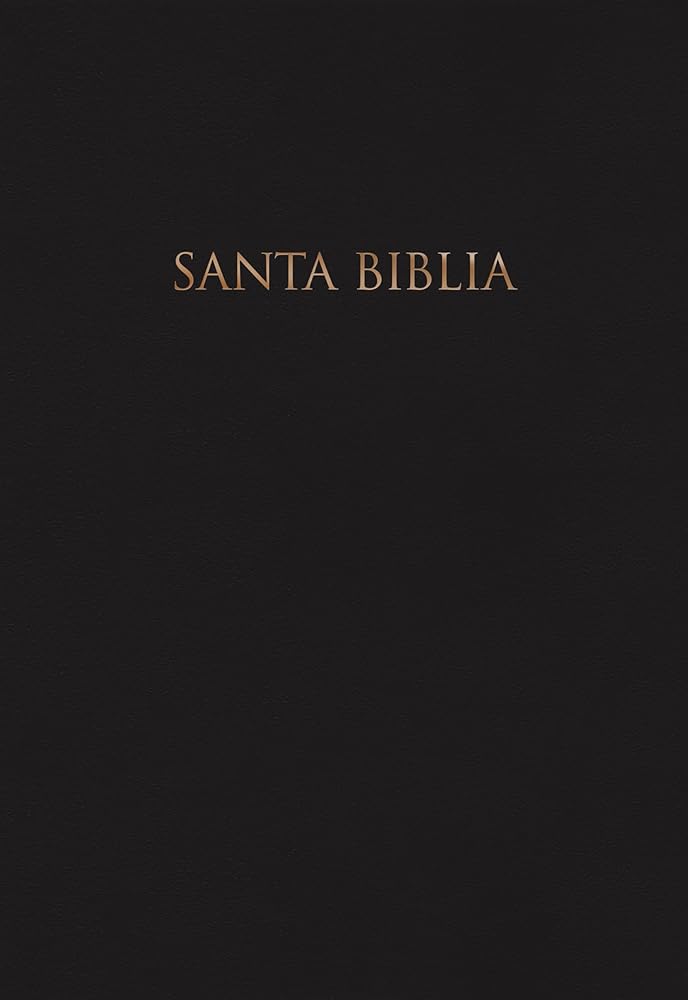 Biblia Reina Valera 1960 para Regalos y Premios, tapa dura, negro | RVR 1960 Gift and Award Holy Bible, Hardcover, Black (Spanish (Spanish Edition) cover image