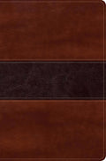 Reina Valera 1960 Biblia del Pescador, letra grande, caoba símil piel | RVR 1960 Fisher of Men Bible Hand size, Mahogany LeatherTouch (Spanish Edition) cover image