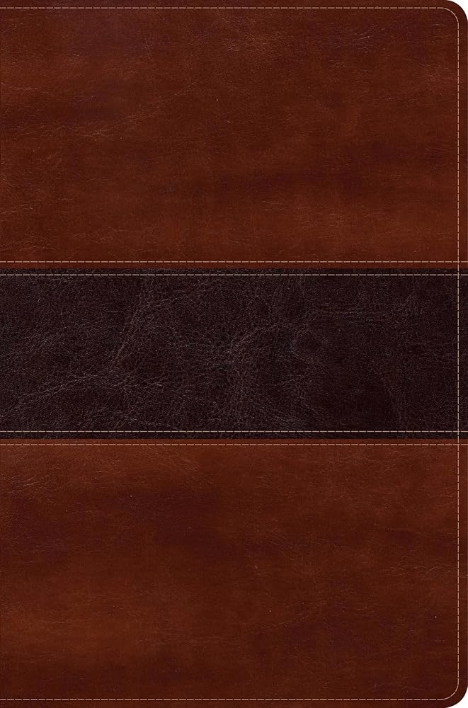 Reina Valera 1960 Biblia del Pescador, letra grande, caoba símil piel | RVR 1960 Fisher of Men Bible Hand size, Mahogany LeatherTouch (Spanish Edition) cover image