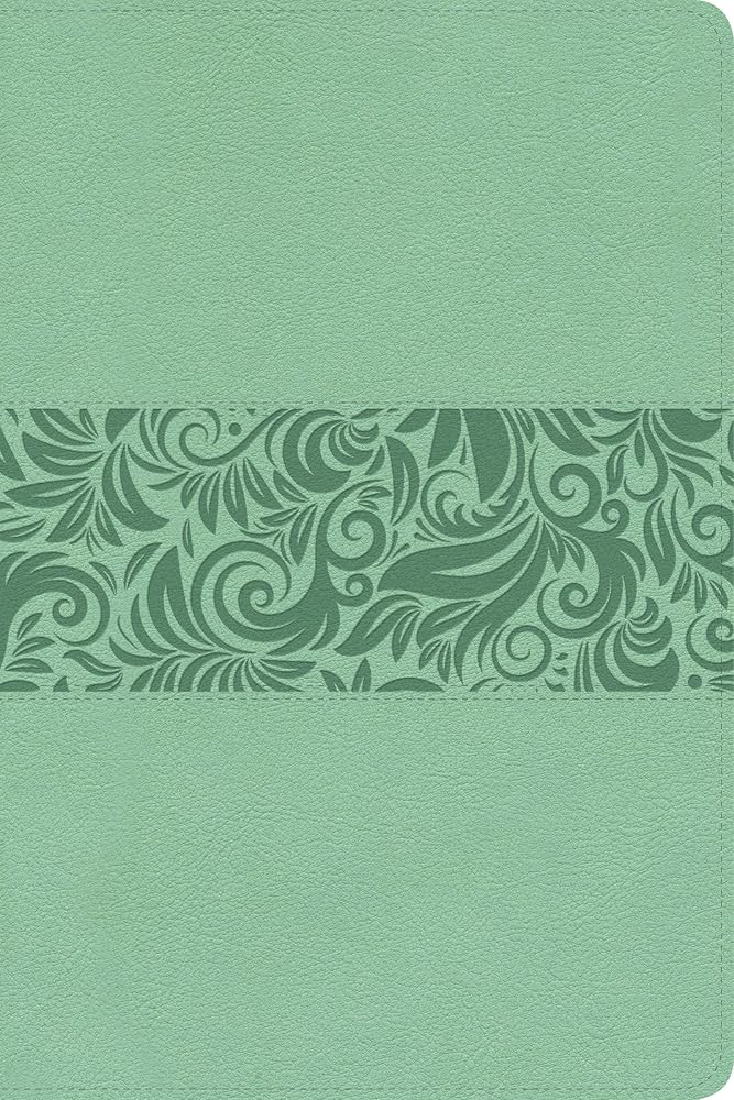 Biblia Reina Valera 1960 para Regalos y Premios. Símil piel, turquesa | RVR 1960 Gift and Award Holy Bible, LeatherTouch, Turquoise (Spanish Edition) cover image