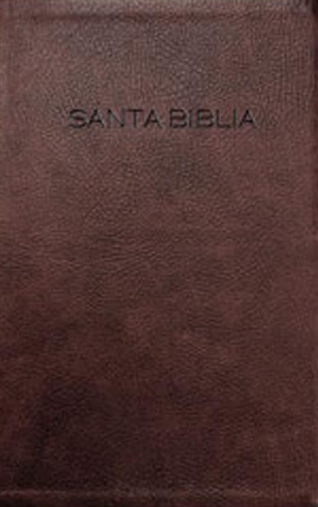 Biblia NVI (Spanish Edition) cover image