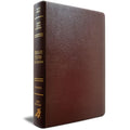 Biblia De Estudio del Expositor cover image