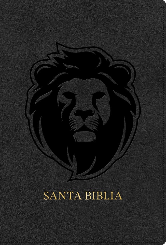 RVR 1960 Biblia letra grande tamaño manual edición especial, ceniza, símil piel (RVR 1960 Hand Size Giant Print, Ash, LeatherTouch Special Edition) (Spanish Edition) cover image