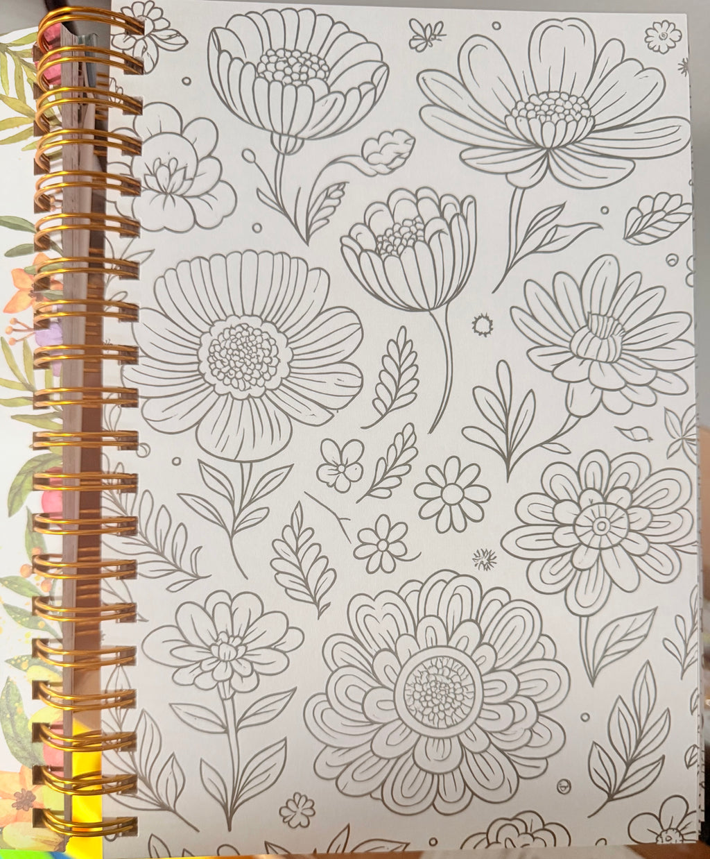 100 Devocionales de "Mujer a Mujer" (con ilustraciones para colorear)