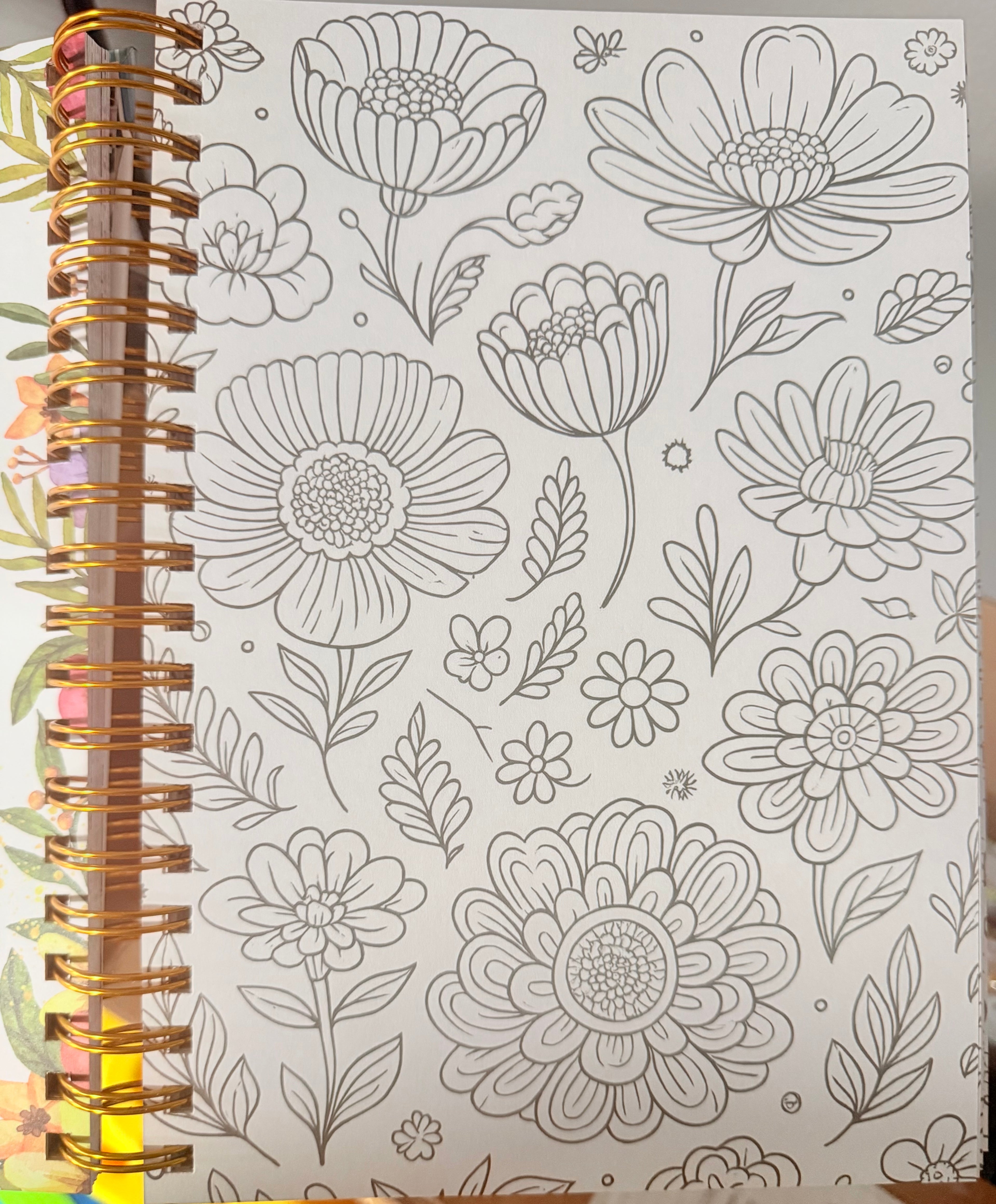 100 Devocionales de "Mujer a Mujer" (con ilustraciones para colorear)