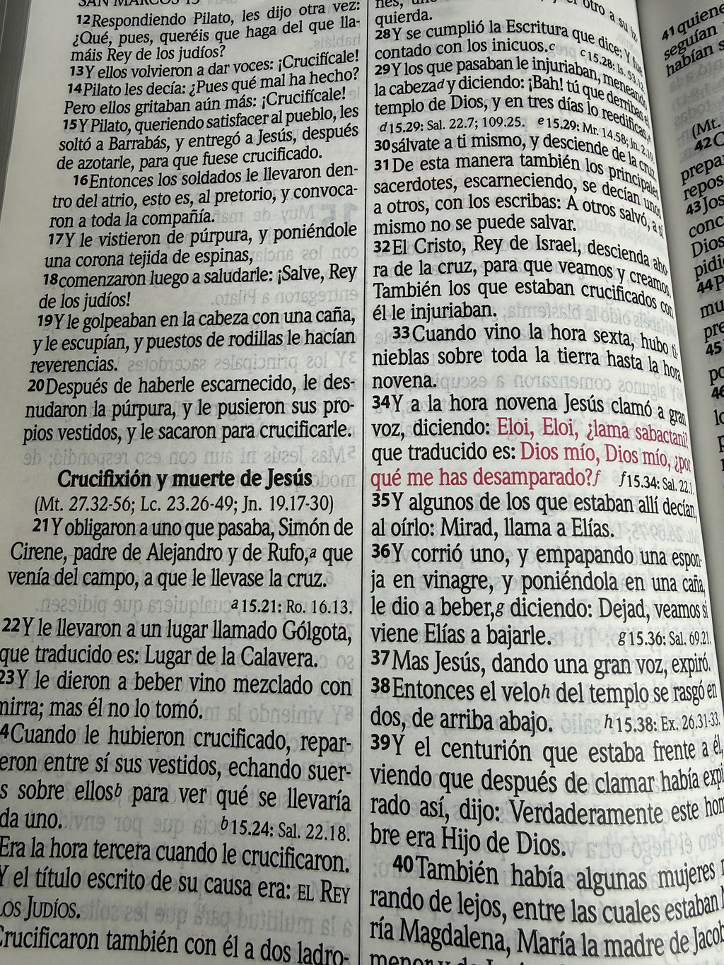 Santa Biblia Letra Gigante (extra grande) RV60