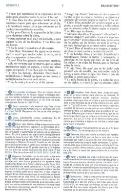 Biblia de estudio del mensaje profetico RVR, piel imit. negro/azul (RVR Prophetic Message Study Bible, I. Leather, Black/Blue)